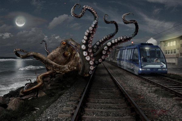 Kraken рабочий